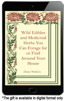 Herbal Preparation & Plant Knowledge Guide