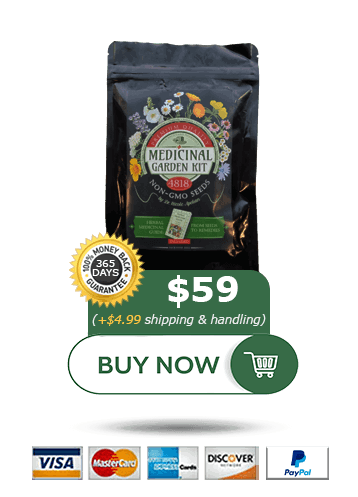 Medicinal Garden Kit - buy now