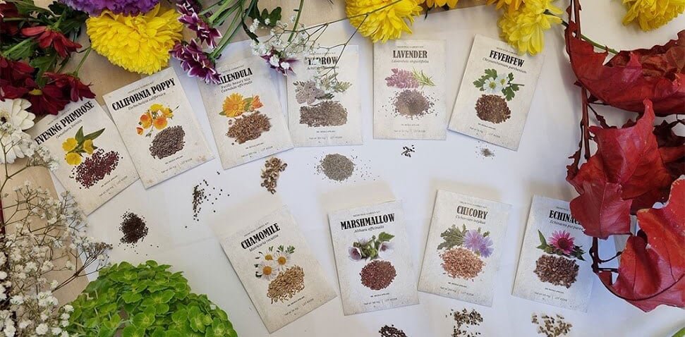 What Will You Get in the Medicinal Garden Kit